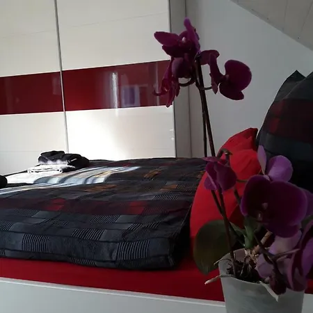 Wagner * 즈바이브루켄